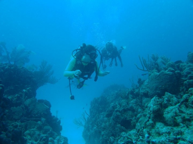 Buceo en arrecofes de coral
